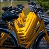 Yellow rental bikes